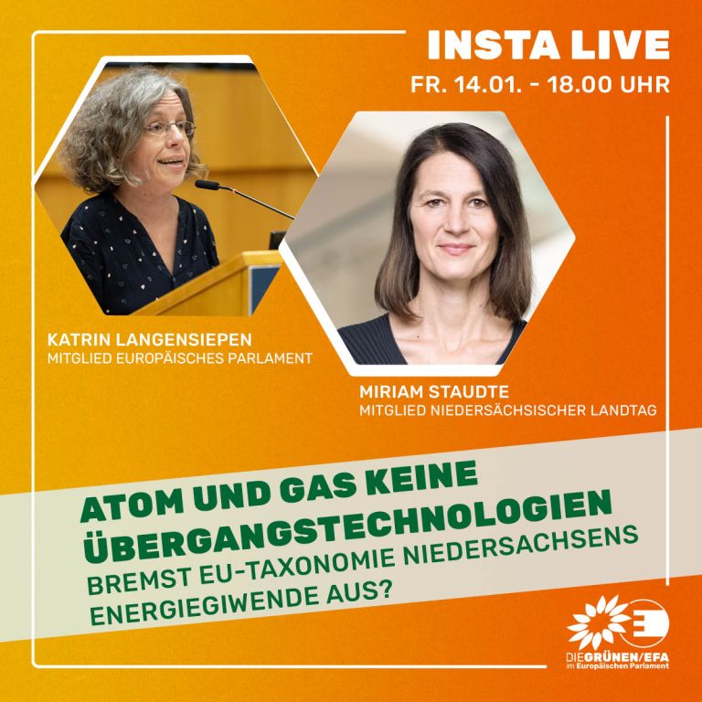 Staudte: Atomkraft und Gas nicht nachhaltig