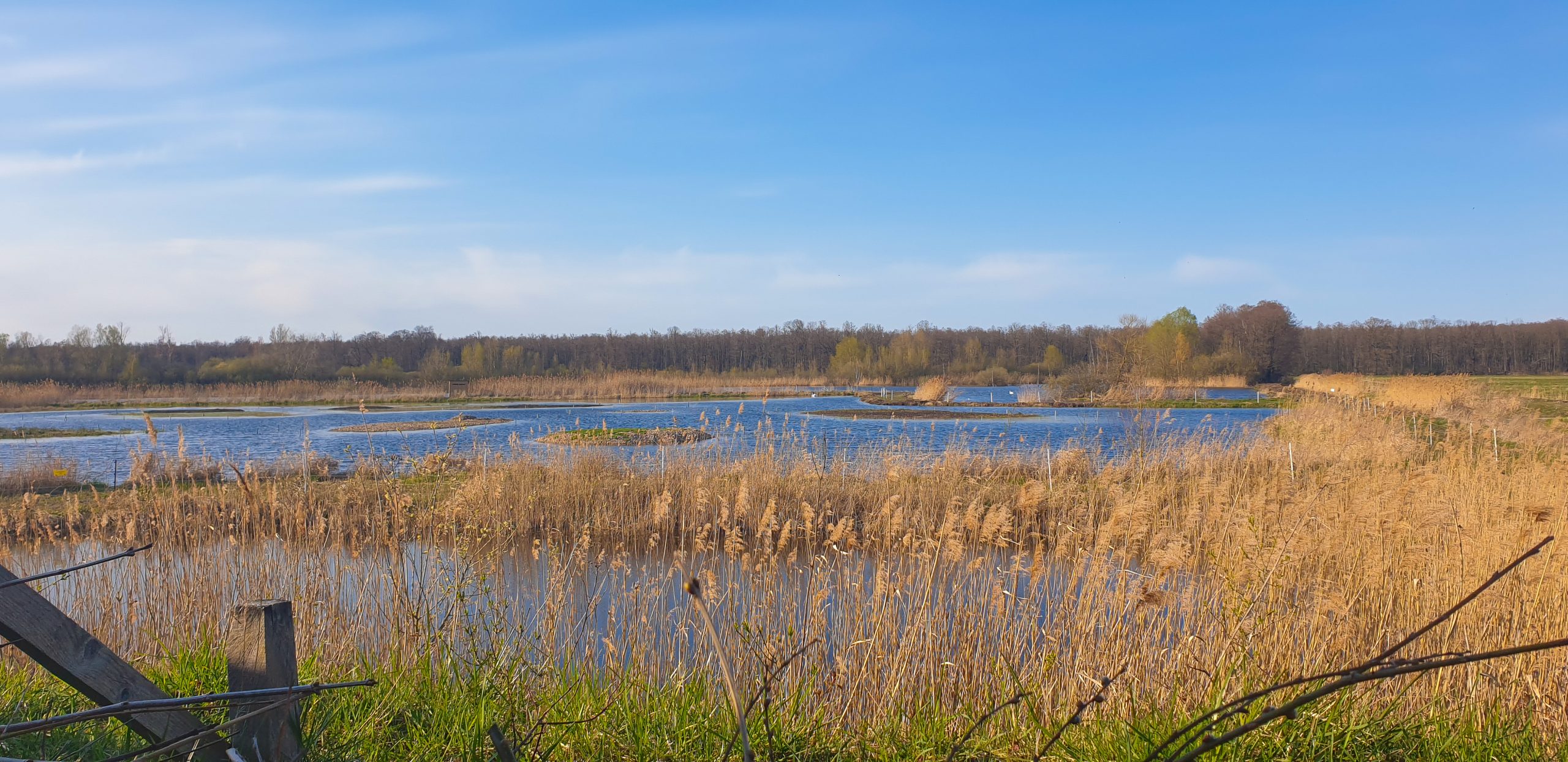 die wendlandgrünen