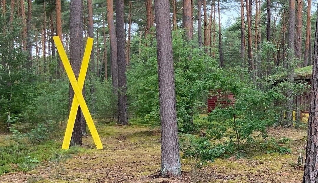 Ein gelbes X steht bei Gorleben in einem Wald.