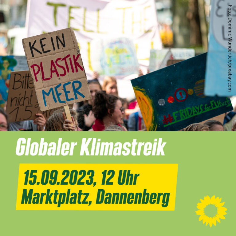 Klimastreik im Wendland