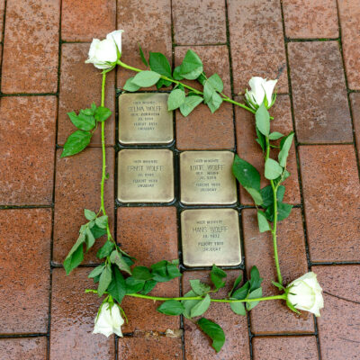 Vier geputzte Stolpersteine werden von vier weißen Rosen eingerahmt.