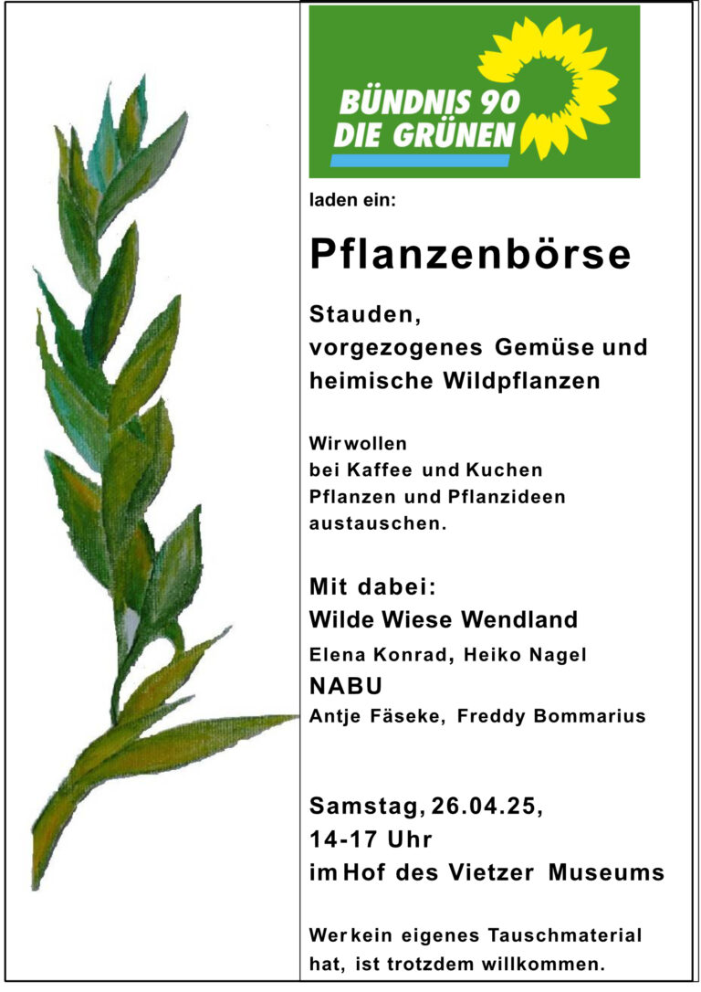 Pflanzenbörse Stauden, vorgezogenes Gemüse und heimische Wildpflanzen